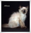 /album/alfonso/alfonso-12-hetes-001-jpg/